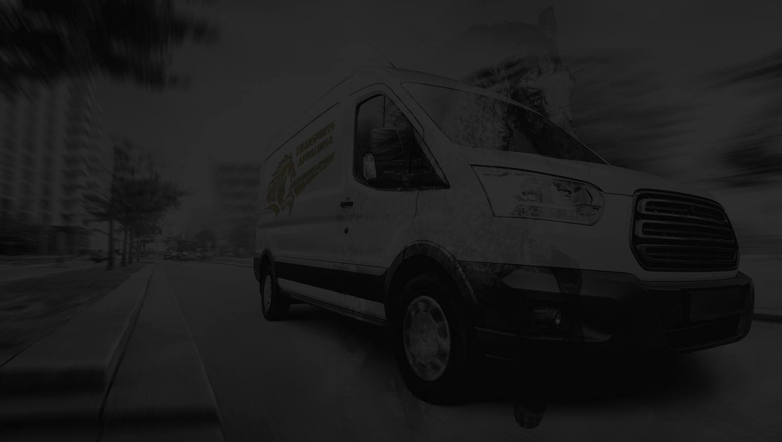 Transportes Appaloosa