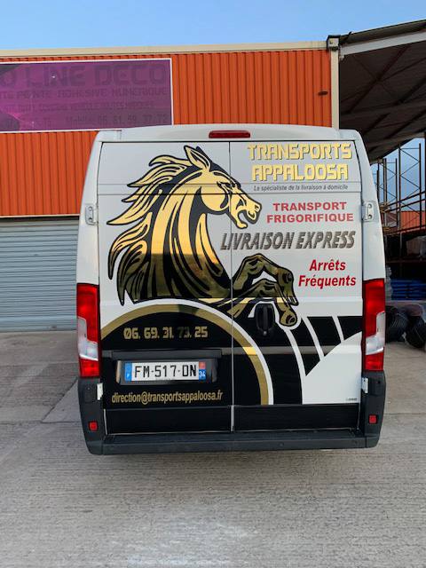 Equipo Appaloosa
