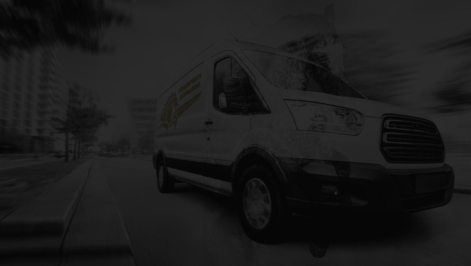 Transportes Appaloosa