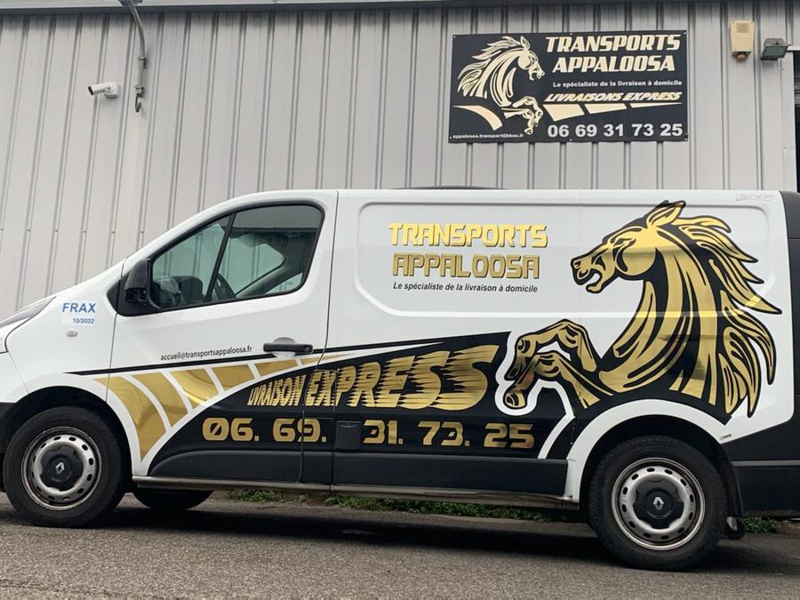 Transportes Appaloosa